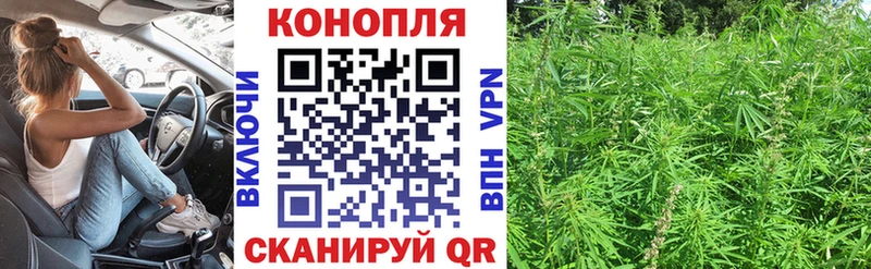 Все наркотики Екатеринбург Галлюциногенные грибы  МЕФ  ГАШИШ  Cocaine 