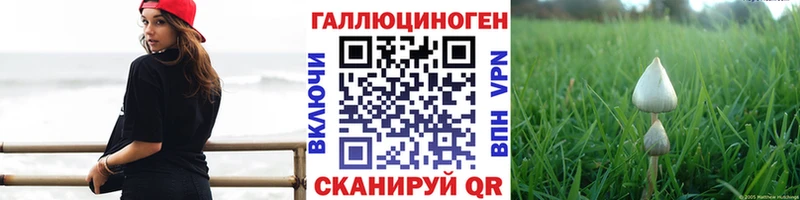Галлюциногенные грибы MAGIC MUSHROOMS Екатеринбург