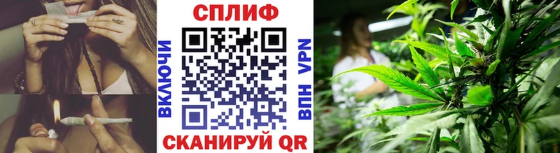 купить закладку  Екатеринбург  Шишки марихуана White Widow 